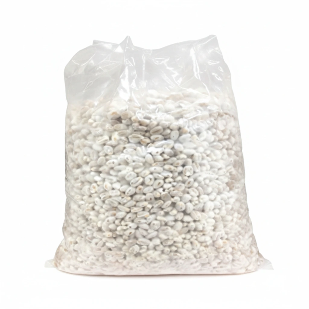 Oyster Mushroom Spawn