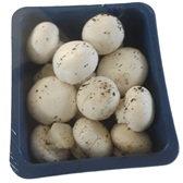 Fresh Button Mushroom