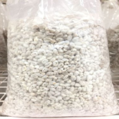 Oyster Mushroom Spawn